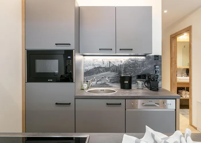 Apart33 1-29 Daire Haus im Ennstal